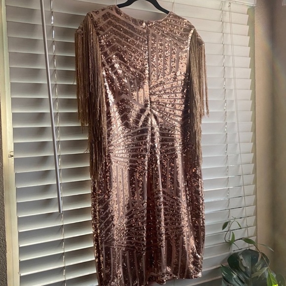 NWT Rose Gold and Fringe Party Dress - Picture 3 of 8
